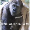 MonosCl 15