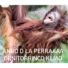MonosCl 16