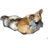 plien + winnie 13