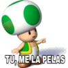 Mario Bros 3 13