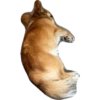 plien + winnie 14