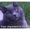 MeowTec 12