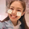 jennie sticker pack 15