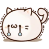 White Cat 11