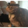 MeowTec 13