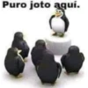 Puro joto aquí.