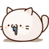 White Cat 13