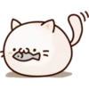 White Cat 14
