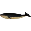 OH WHALE 13