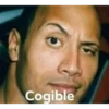 Cogible
