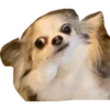 plien + winnie 17