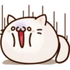 White Cat 16