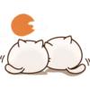 White Cat 17