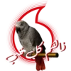 Ramadan & Eid Stickers 16