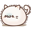 White Cat 20