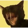 MeowTec 15