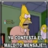 sección n°2 (the simpsons) 17