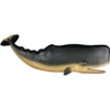 OH WHALE 14