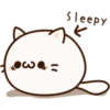 White Cat 23
