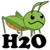 CSS 17