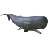 OH WHALE 16