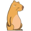 Capybara Valera 10