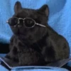 MeowTec 23
