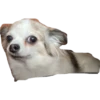 plien + winnie 23