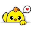 Cute CHICKS 🐣🐤 22