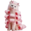 cats too 5