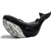 OH WHALE 18