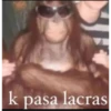 MonosCl 24