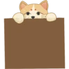 miso the Ikeda Spa kitty 19