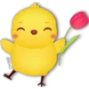 Cute CHICKS 🐣🐤 23