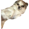 plien + winnie 25