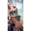 pussy 5