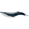 OH WHALE 19