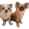 plien + winnie 27