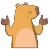 Capybara Valera 11
