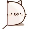 White Cat 26