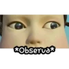 *Observa*