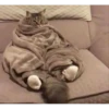MeowTec 24