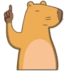 Capybara Valera 12