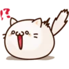 White Cat 27