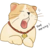 miso the Ikeda Spa kitty 25