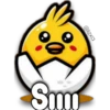 Cute CHICKS 🐣🐤 29