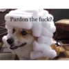 reaction pics 18