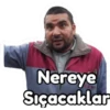 Nereye Sıçacaklar HO