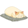 miso the Ikeda Spa kitty 27