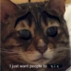 MeowTec 27